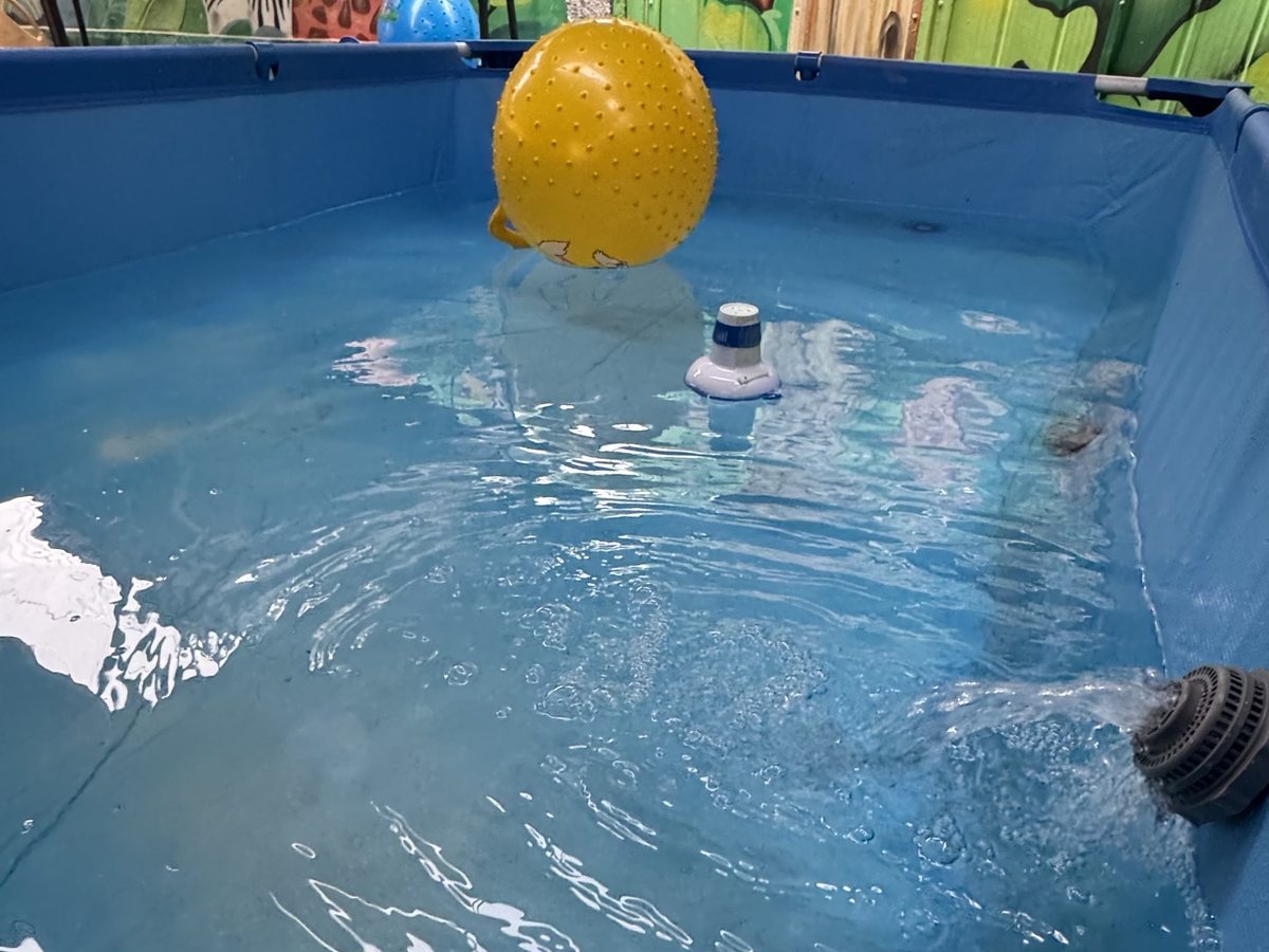 Piscina desmontable instalada en el patio techado para las actividades de verano