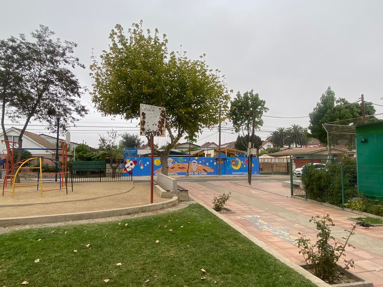Patio y áreas verdes del jardín